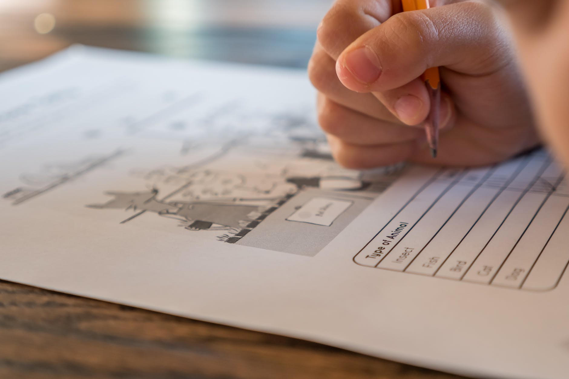 schoolchild solving elementary science test in education post pandemic