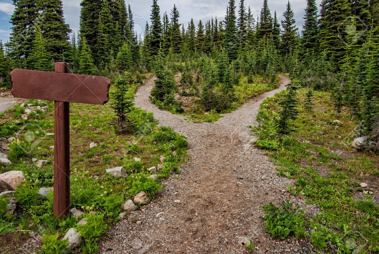 How I write: Part 4 - Sweet Emotions 3 15717290 showing a path splitting into two going into the woods with a blank signpost