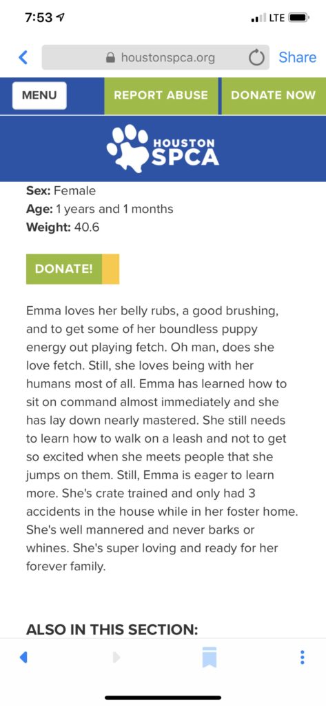 Portfolio work: Emma the Dog’s Story 4 Emma’s bio
