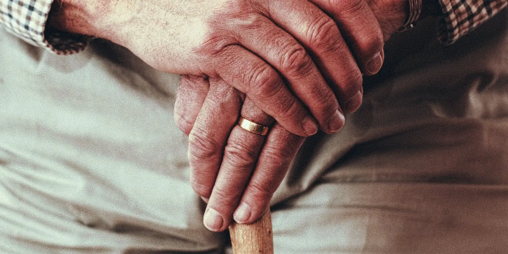 The House Guest: Part 2