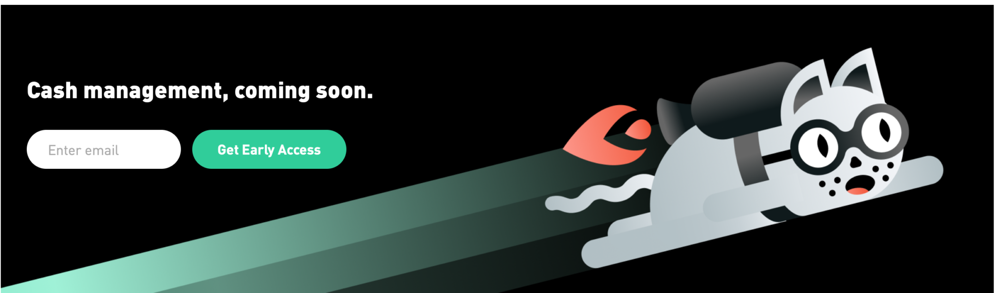 Robinhood Cash Management