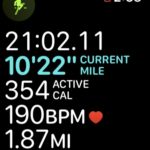 The Rock Solid Workout App - Running App - Diary Day 1 5 All the stats on the workout app
