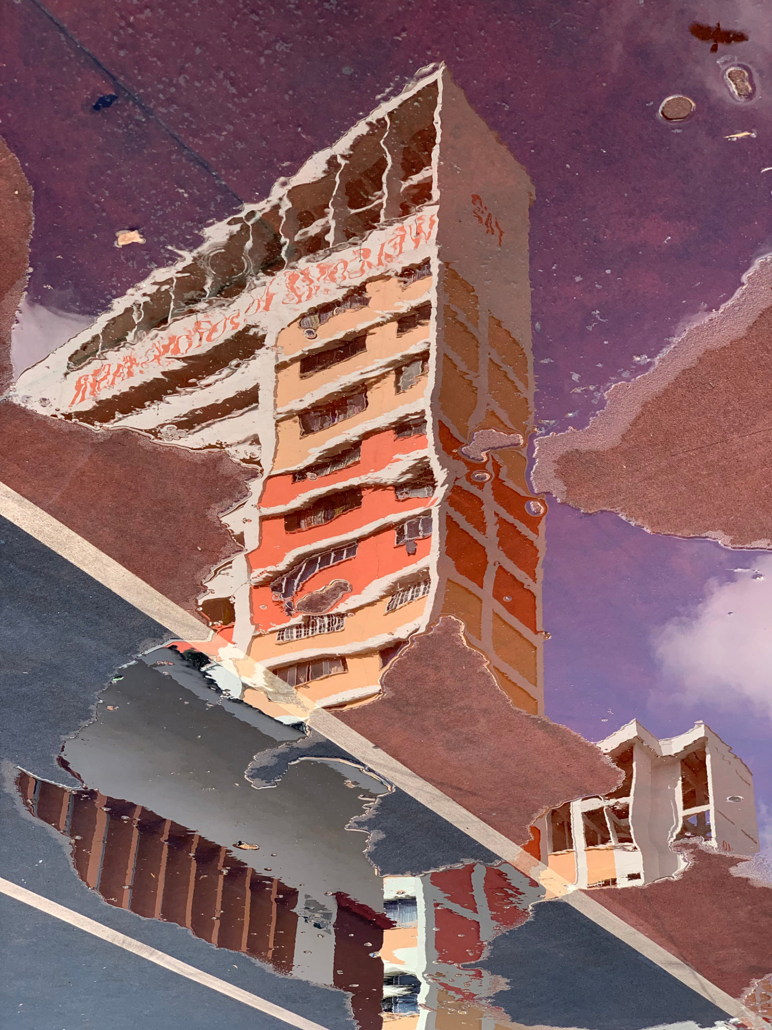 Winner of Apple's shot on iPhone contest