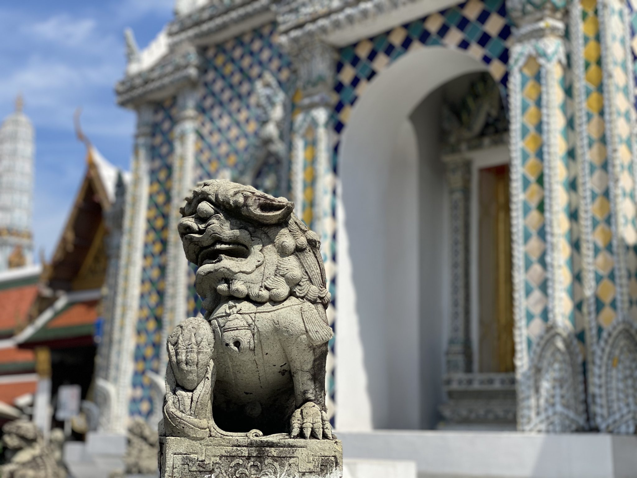 corona virus Did I Catch the Corona Virus?