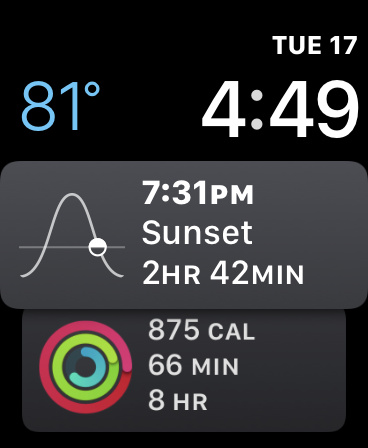 What I Want in the Apple Watch in 2020 6 Siri Watch Face