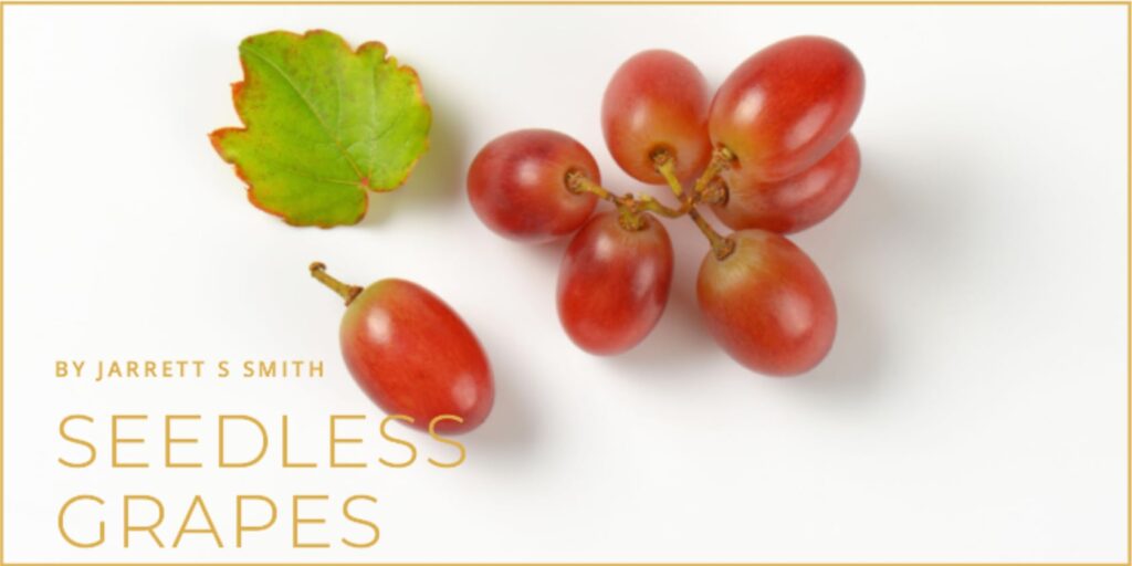 seedless grapes by Jarrett S. Smith