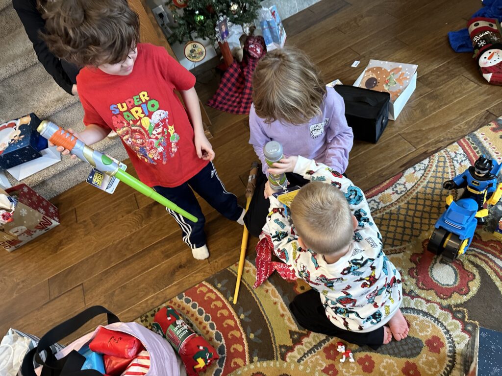 Christmas Regressions, New Years Resolutions, and I Don’t Want to Do Anything 6 IMG 0106