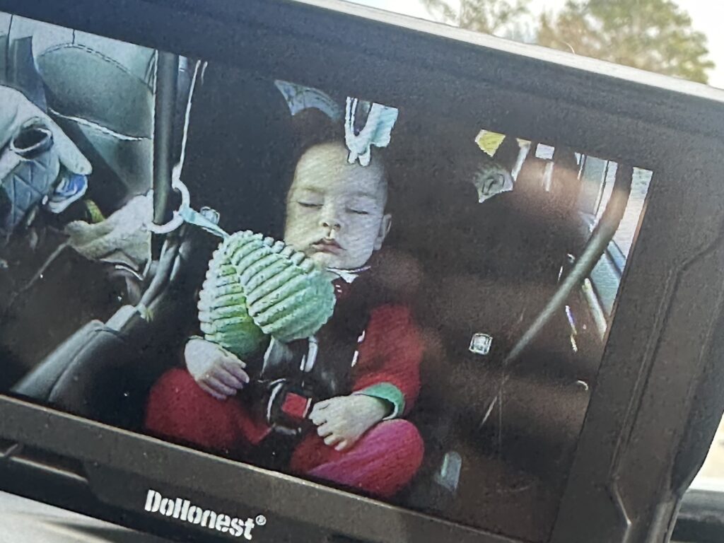Christmas Regressions, New Years Resolutions, and I Don’t Want to Do Anything 4 monitor showing baby asleep in car seat