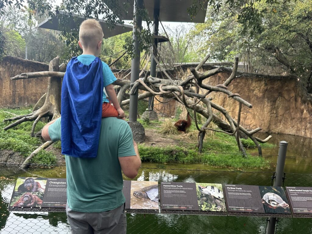 Threeanger Attitude and Spring Break Adventures 3 A boy on his dad's shoulder look at monkeys at the zoo