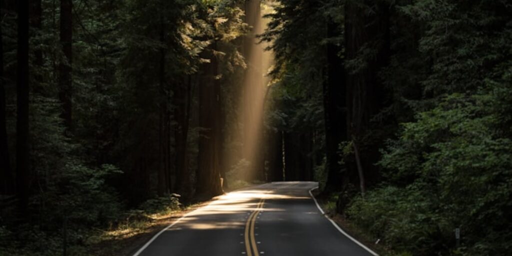 Moonlight Ride.3aa872639b1f4a2795f996412b12b5b7