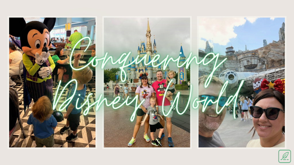 Conquering Disney World— My First Visit in Almost 40 Years 2 DisneyWorld.ddb7a2a82793481abce8c00143e12275